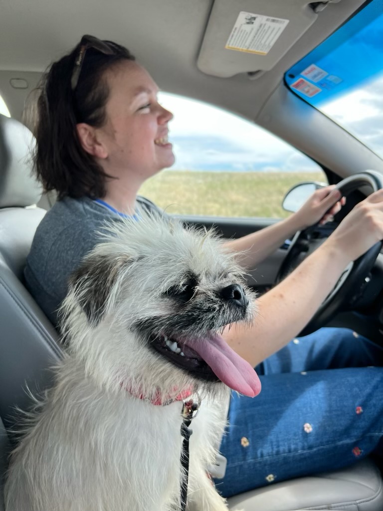 Gizmo is up for "PEOPLE'S World's Cutest Rescue Dog Contest"
