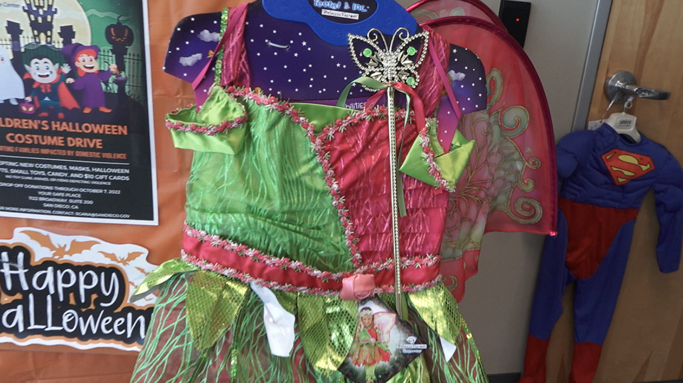 Local organization collecting costumes for kids affected by domestic abuse