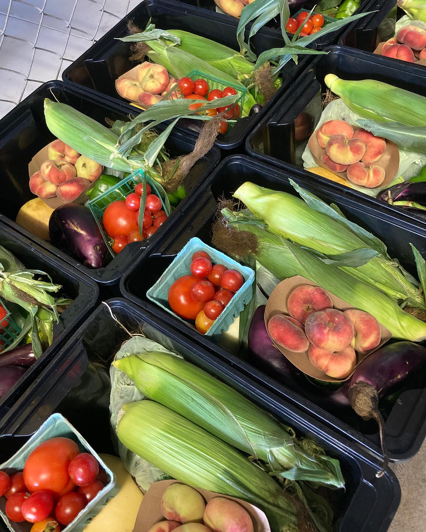 good neighbor gardens.jpeg