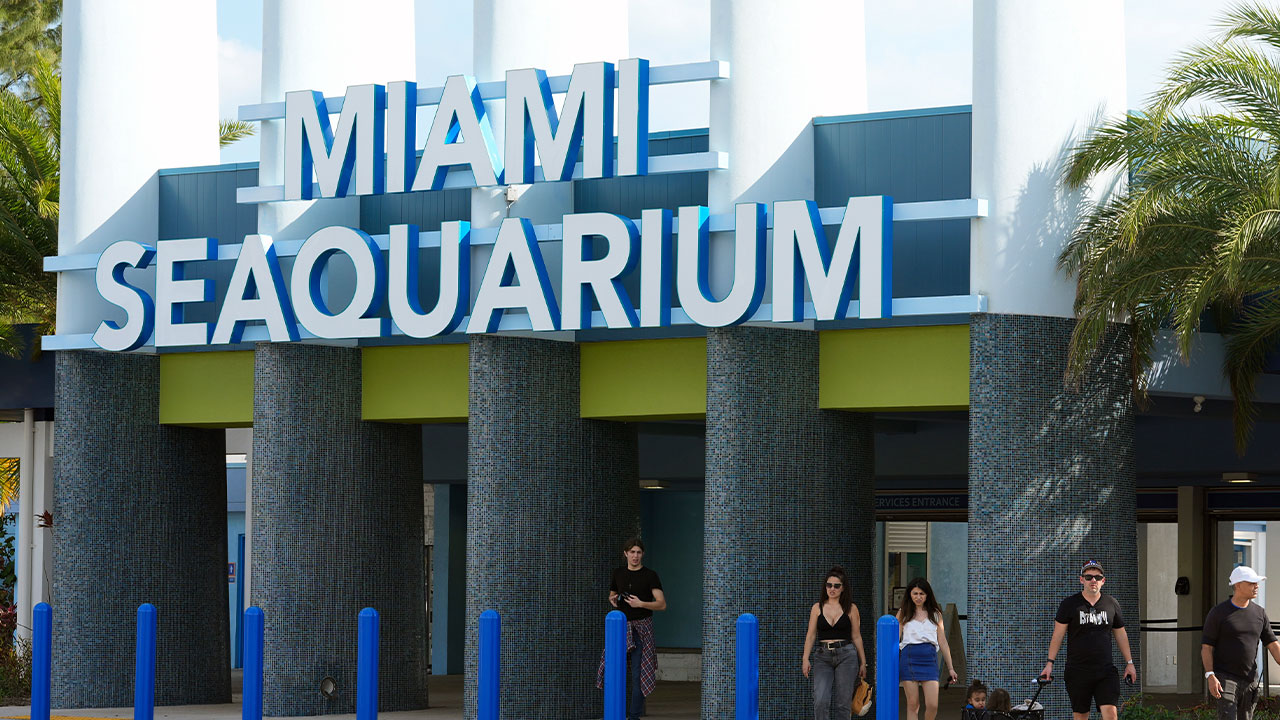 Miami Seaquarium