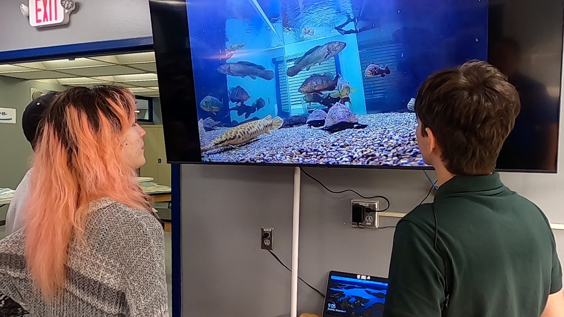 Pasco County tech aquaponics lab