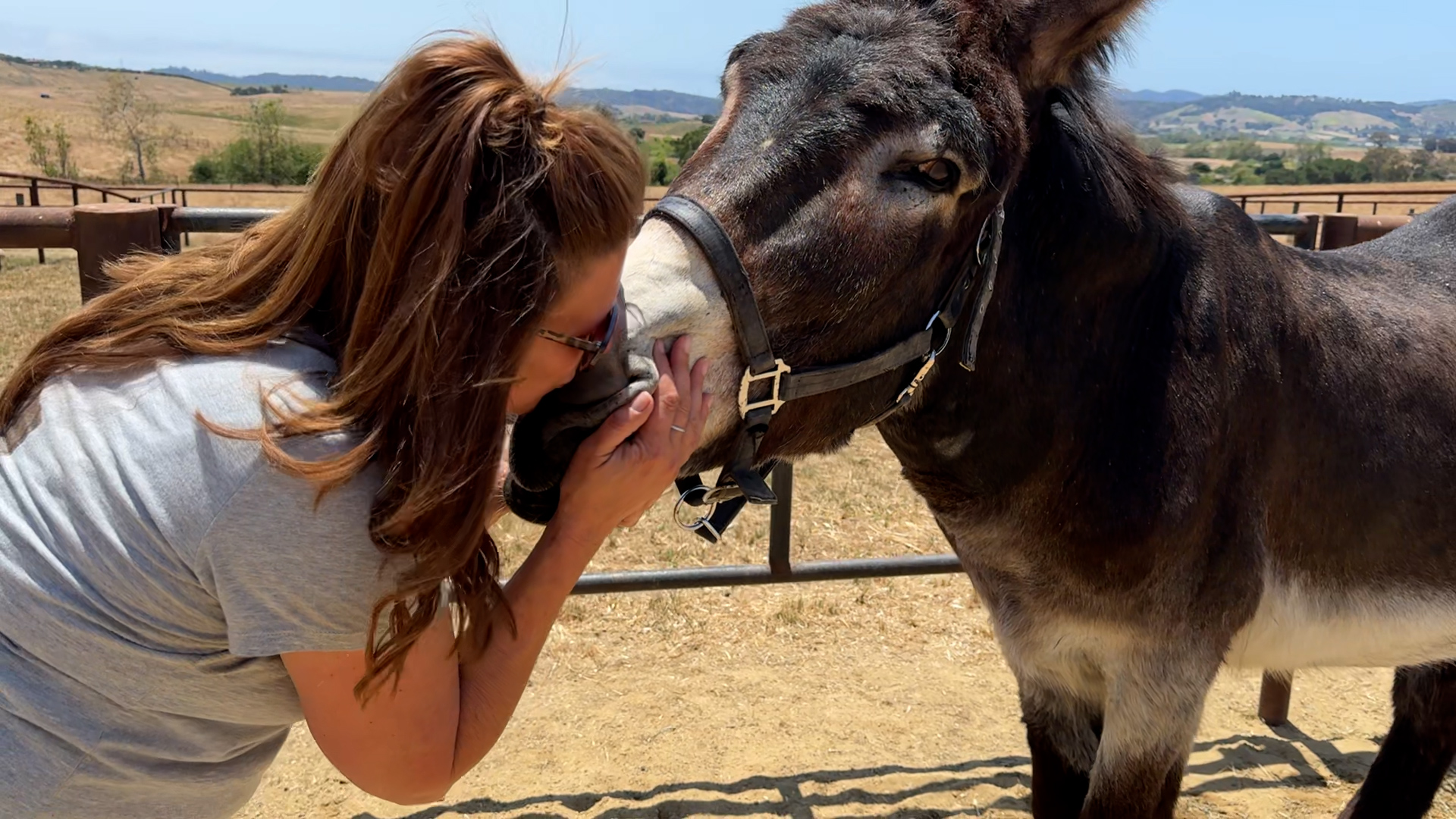 Director, Laura DiMille, gives Bo a kiss.