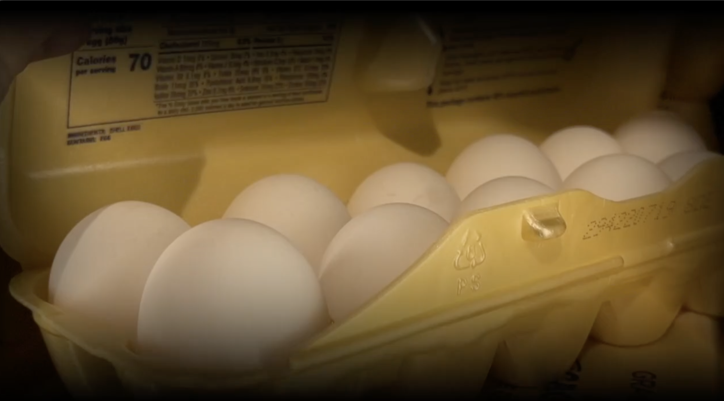 eggs