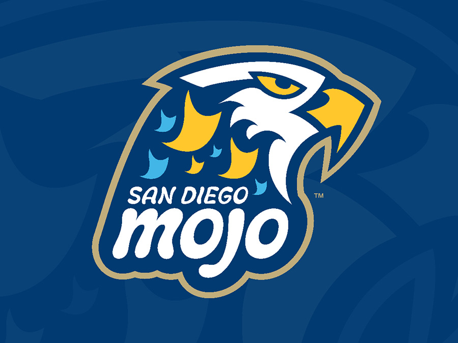 san_diego_mojo_volleyball.jpg