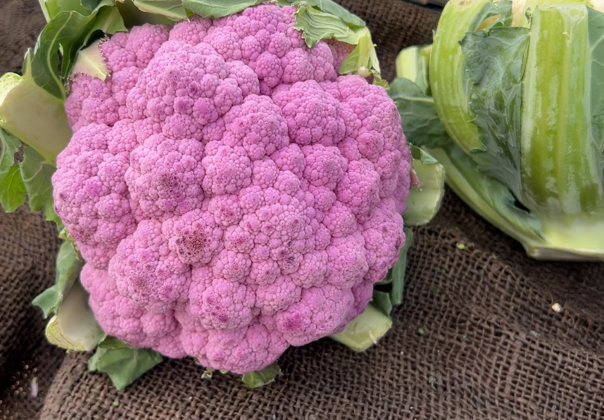 cauliflower, vegetables, farmers market