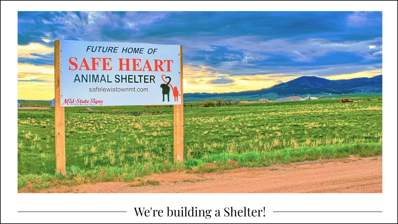 Lewistown Animal Shelter