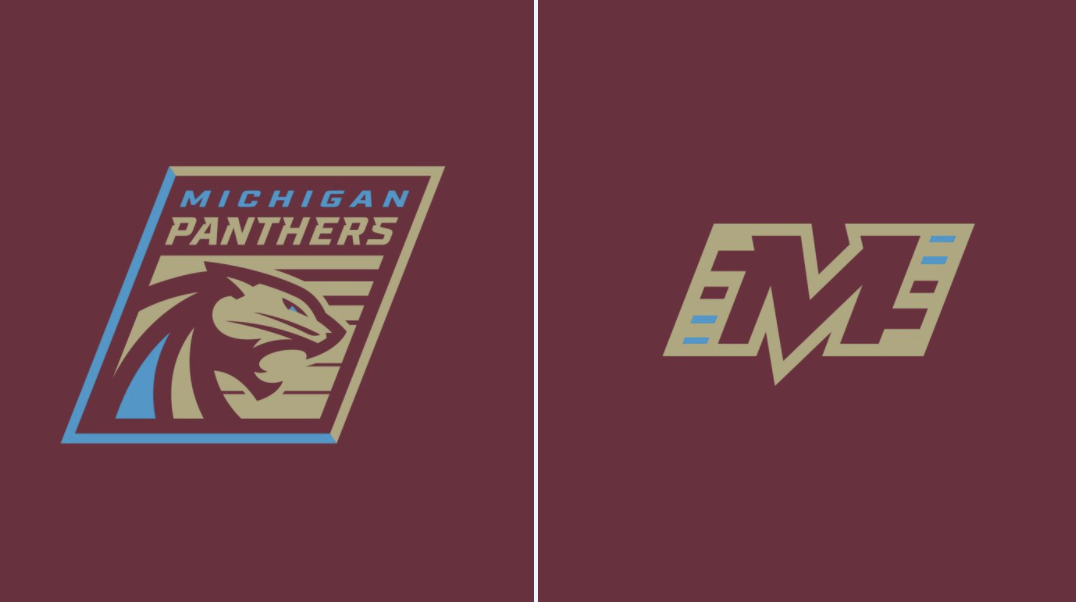 New Michigan Panthers