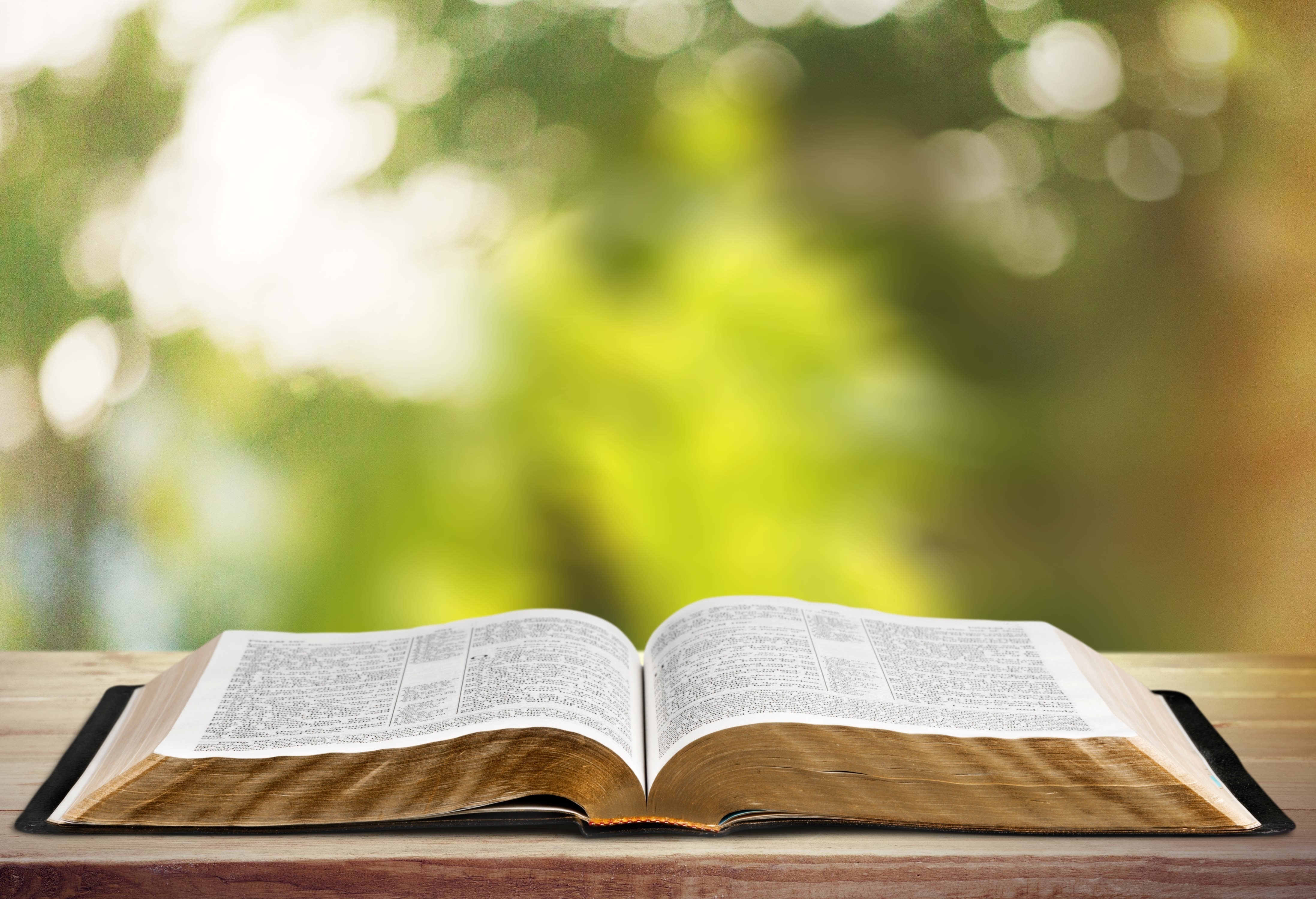 A photo of an open bible on a table.