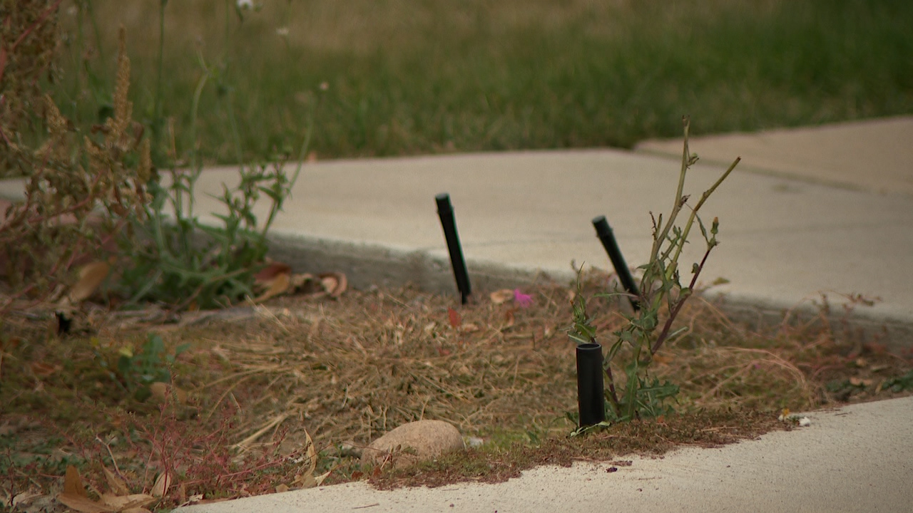 Halloween decorations stolen from Littleton family's yard 