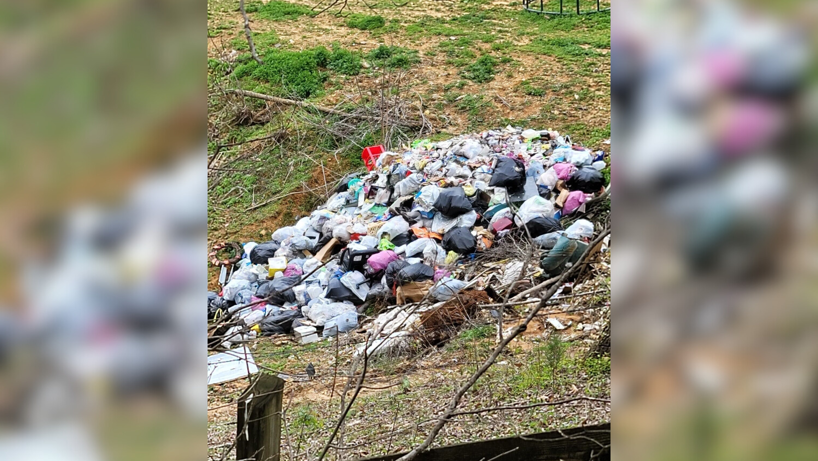 Untitled design (48).png