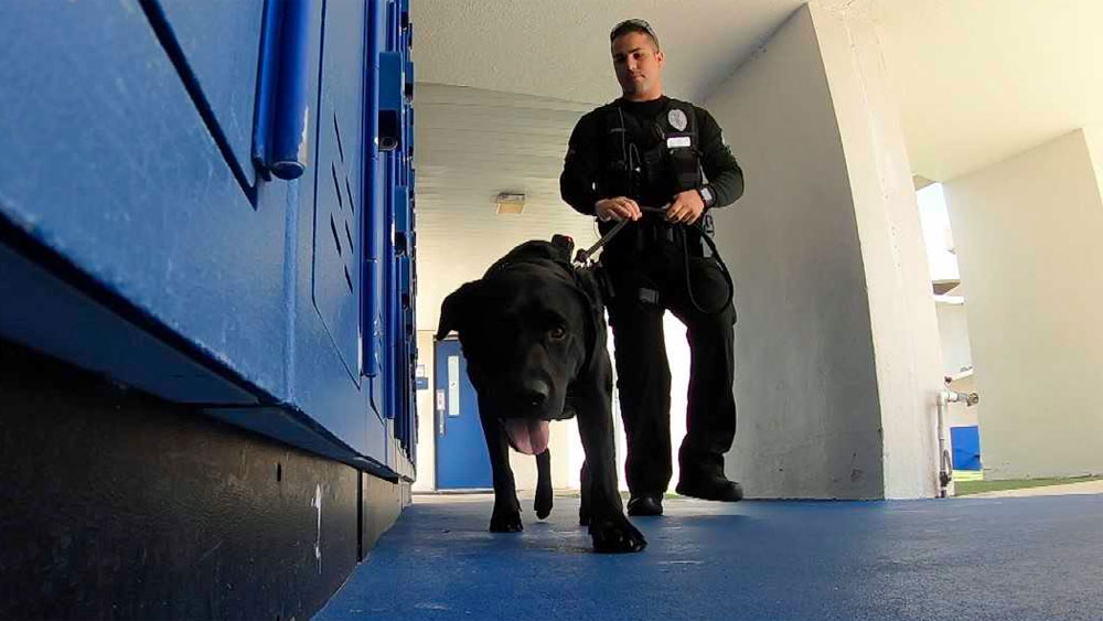 wptf-fau-k9.jpg