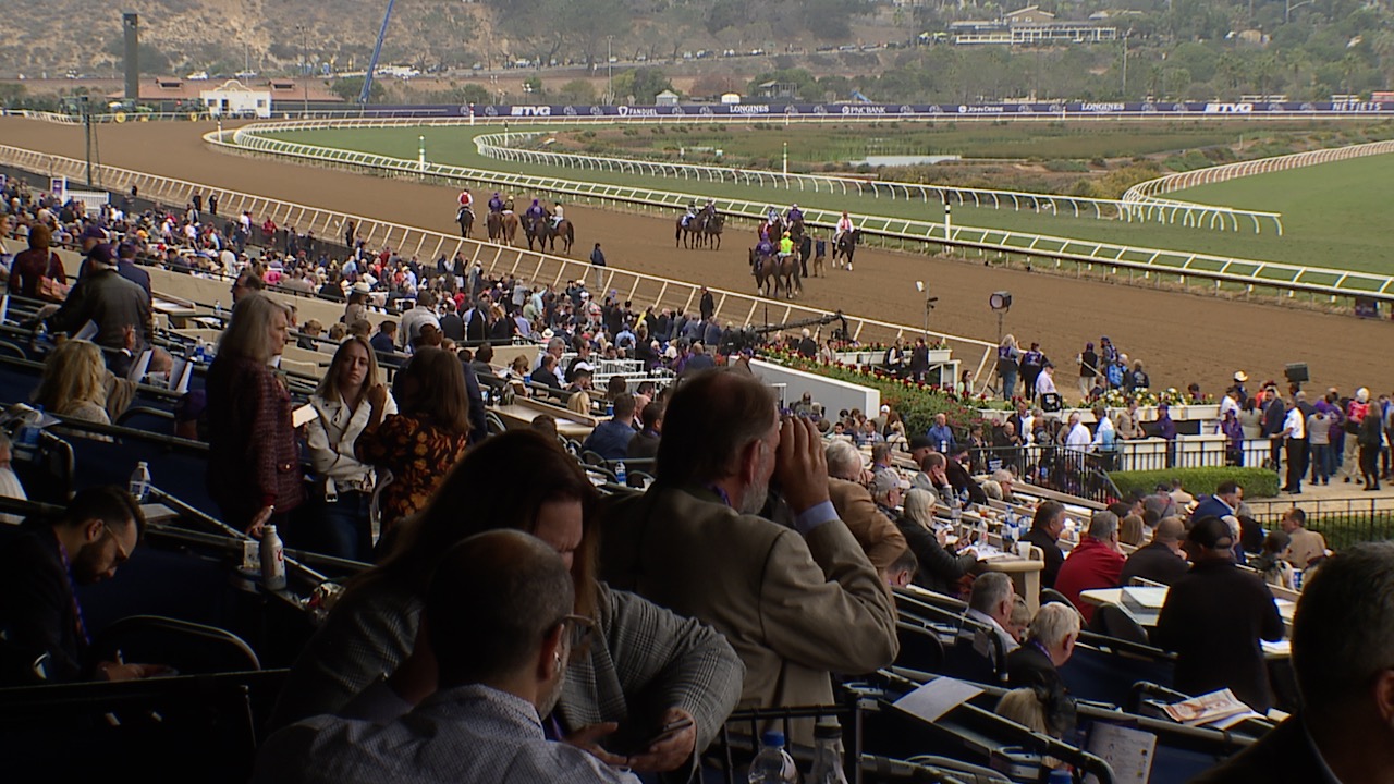 Breeders's Cup fans.jpg