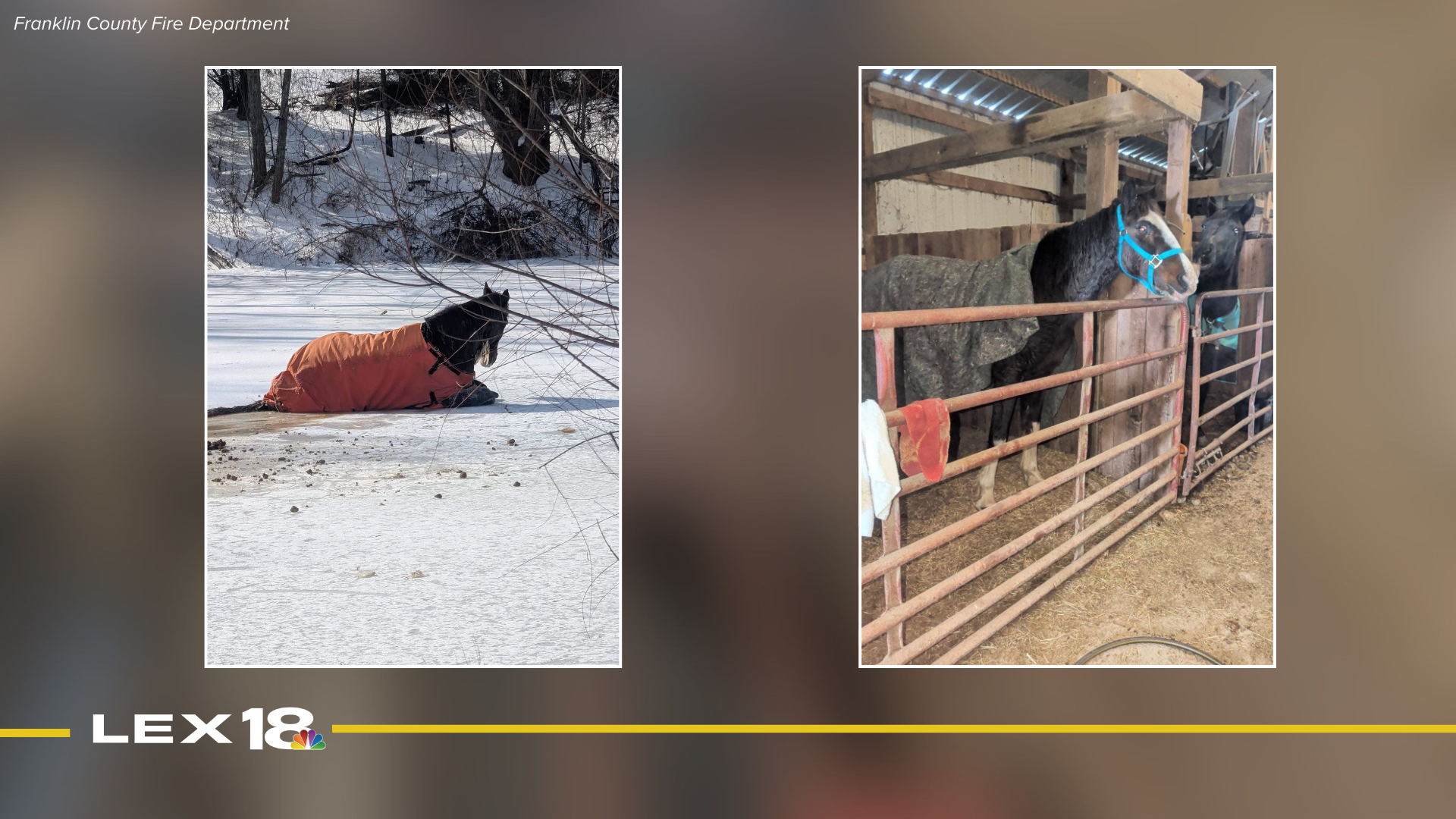 Franklin Co. Fire Department rescues Shooter the horse