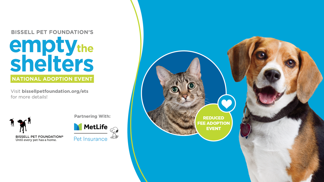 Empty the Shelters