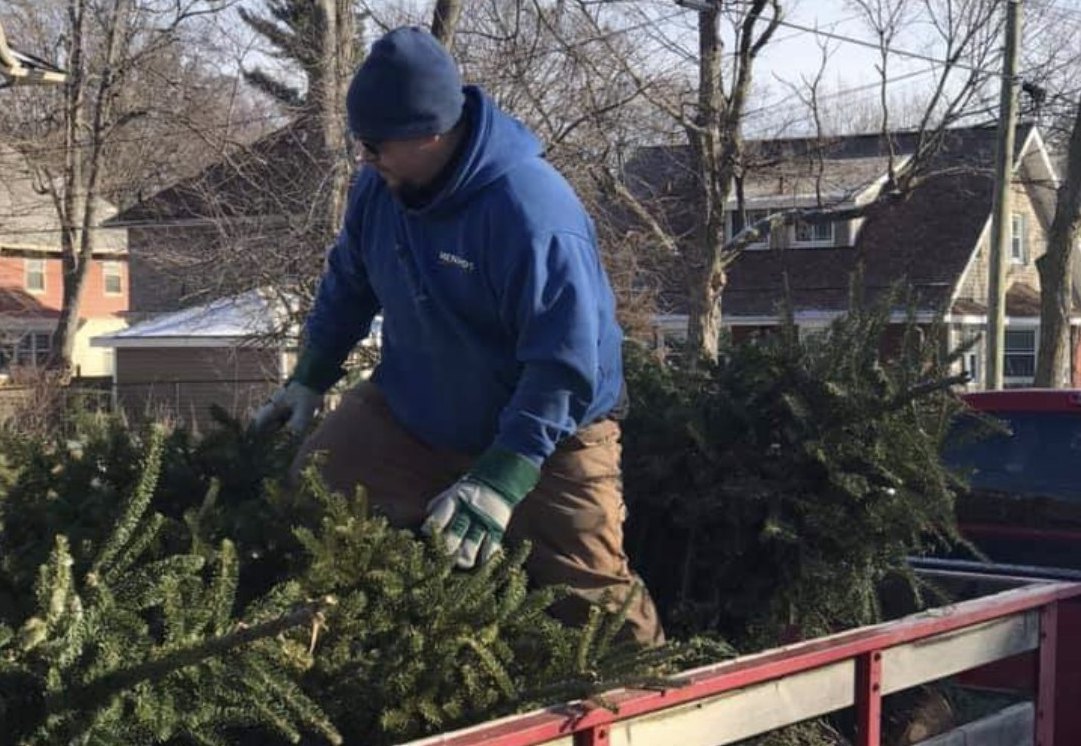 Christmas tree pick up