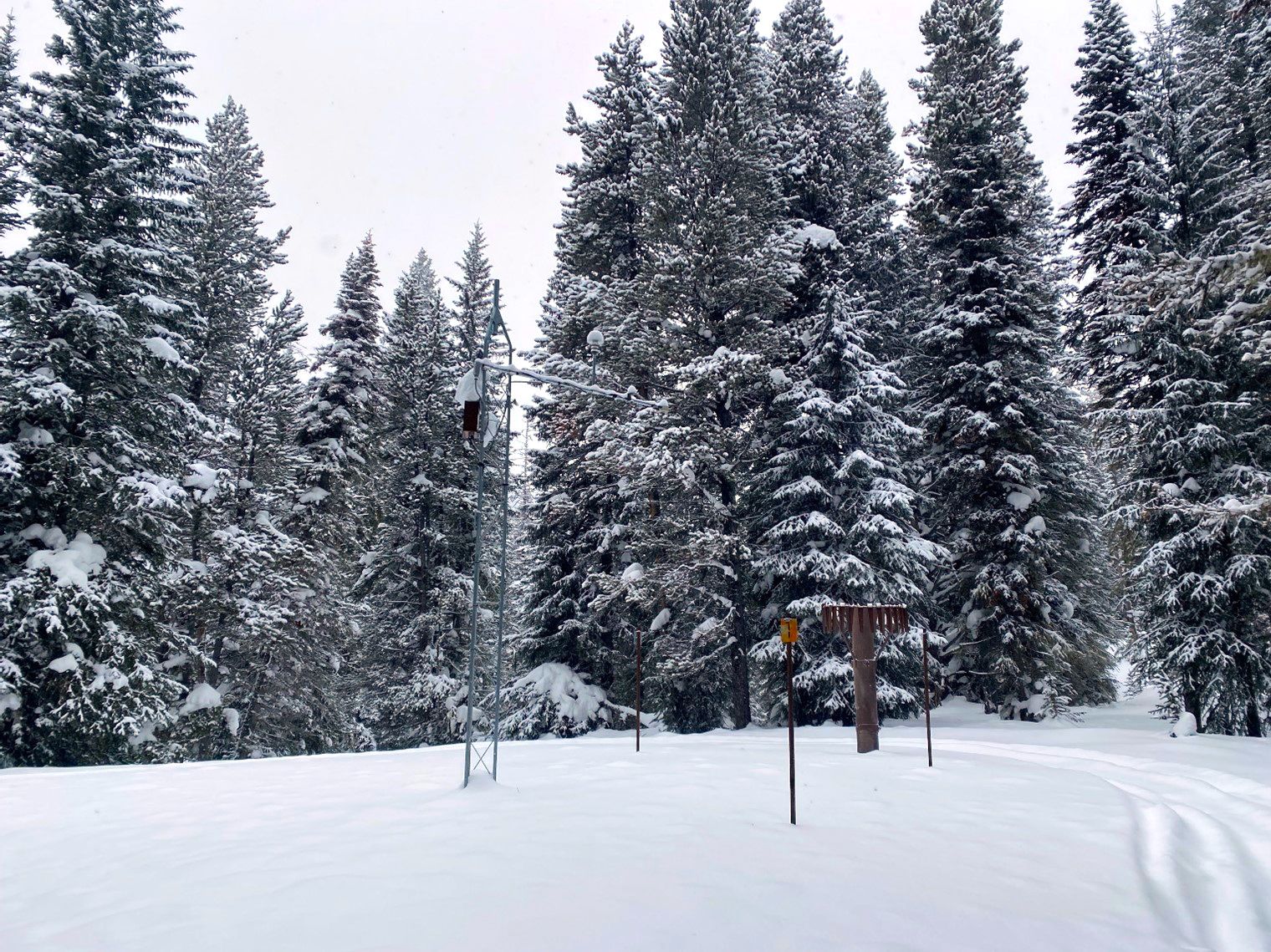 BeaverCreekSNOTEL_Jan31-2022.jpg
