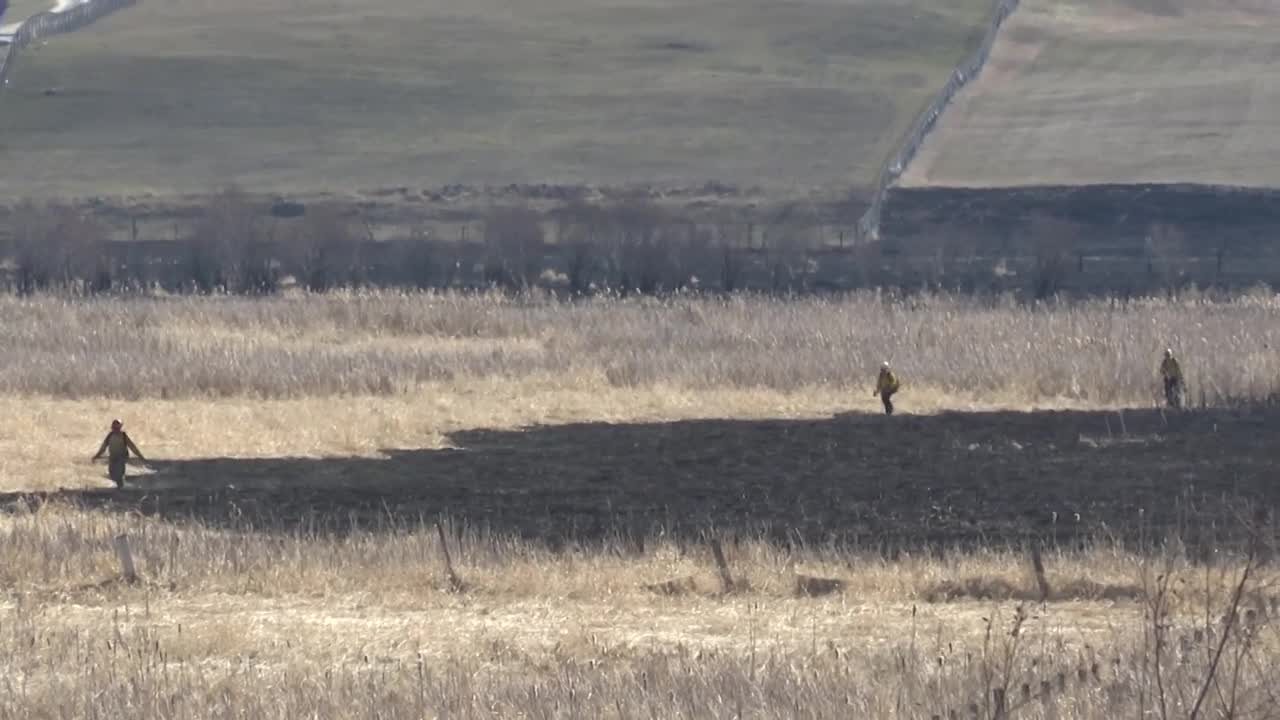 wildifre preparedness 