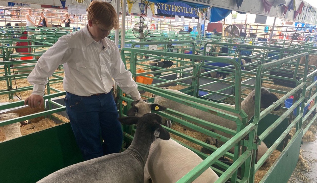 Western MT Fair Livestock 2022.jpg