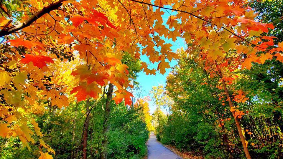 Michigan fall colors