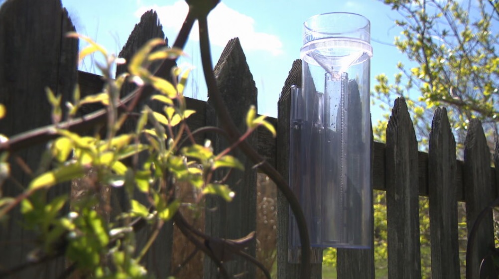 Rain Gauge