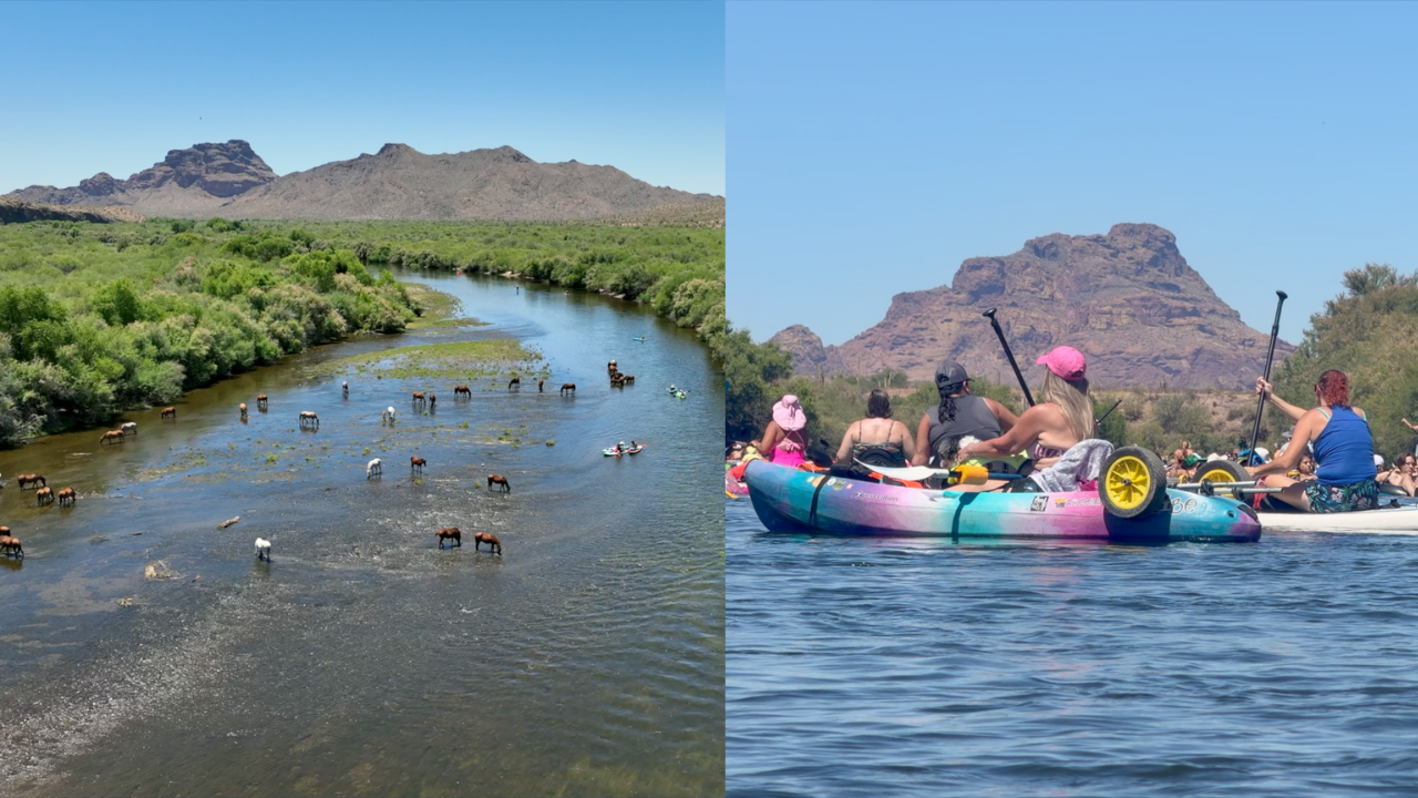 Salt River Tubing.png