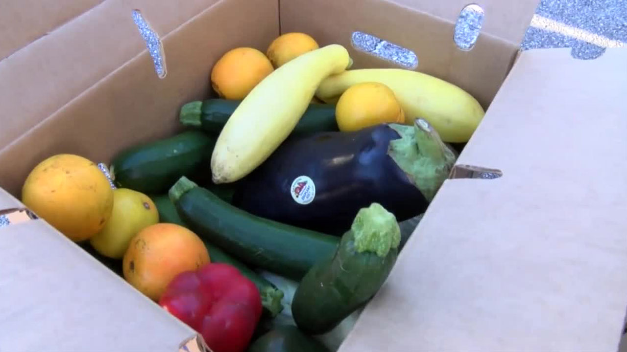 Food distribution event in West Palm Beach