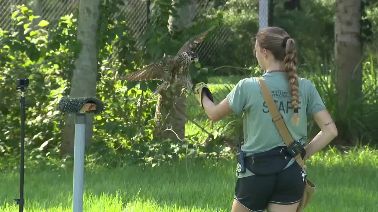 Phelony Busch Wildlife Center