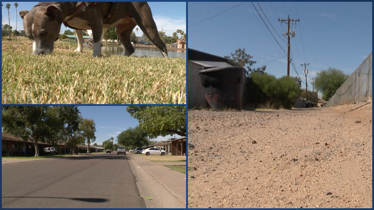 Scottsdale neighborhood concerns pets are being poisoned.jpg