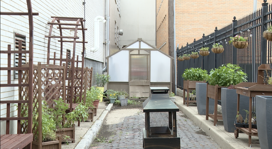 Goose Alley Community Garden