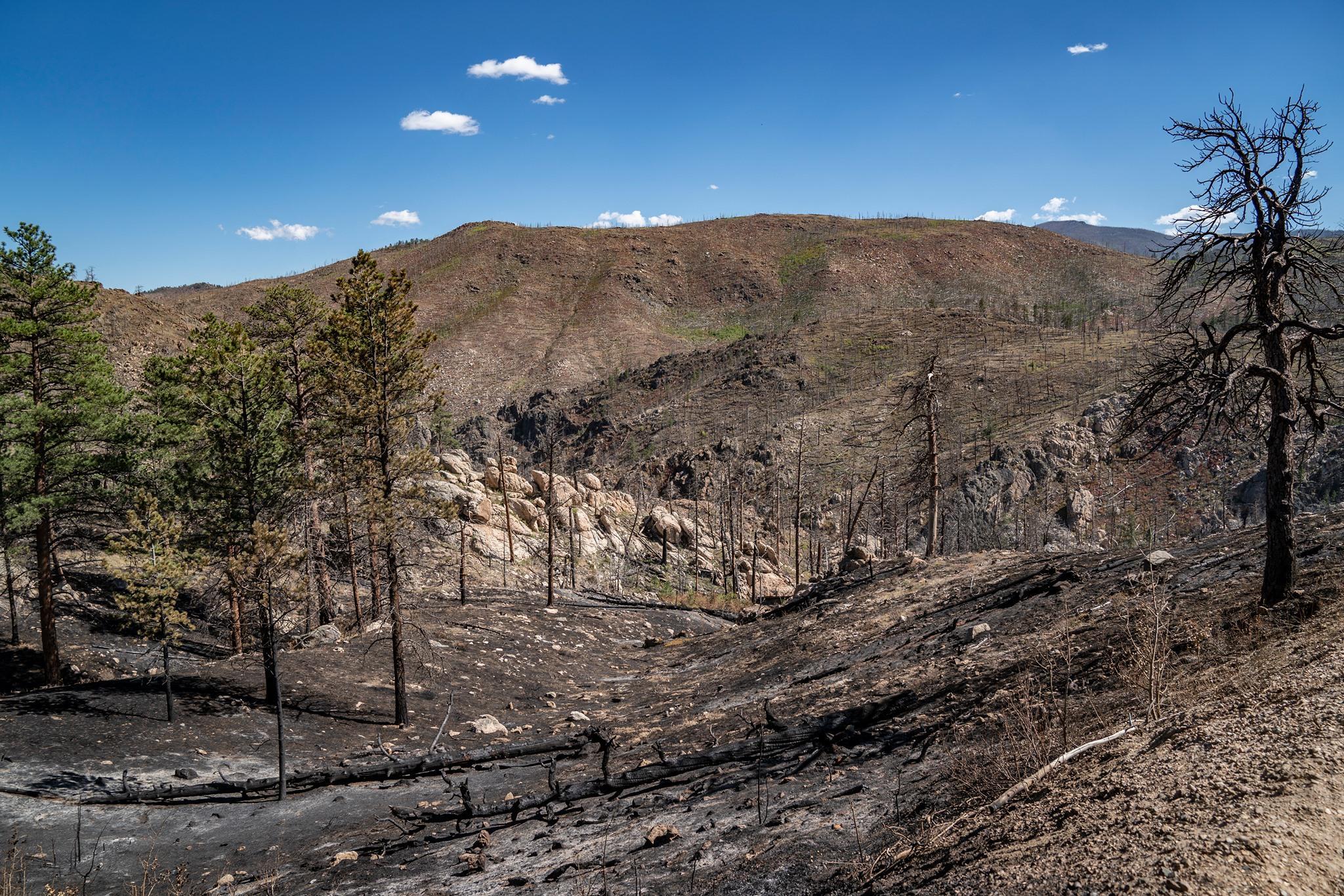 Cameron Peak Fire_burned ground damage