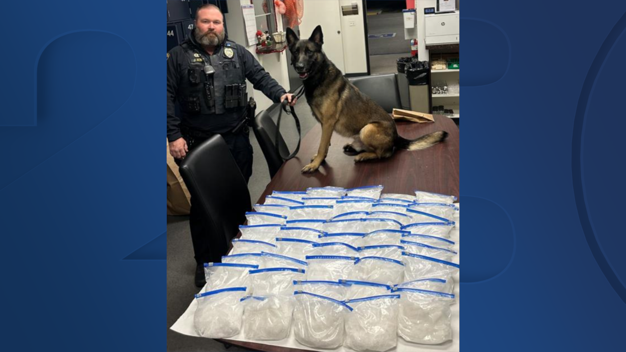 Liam the BPD K-9 uncovers 51.5 lbs. of meth in traffic stop