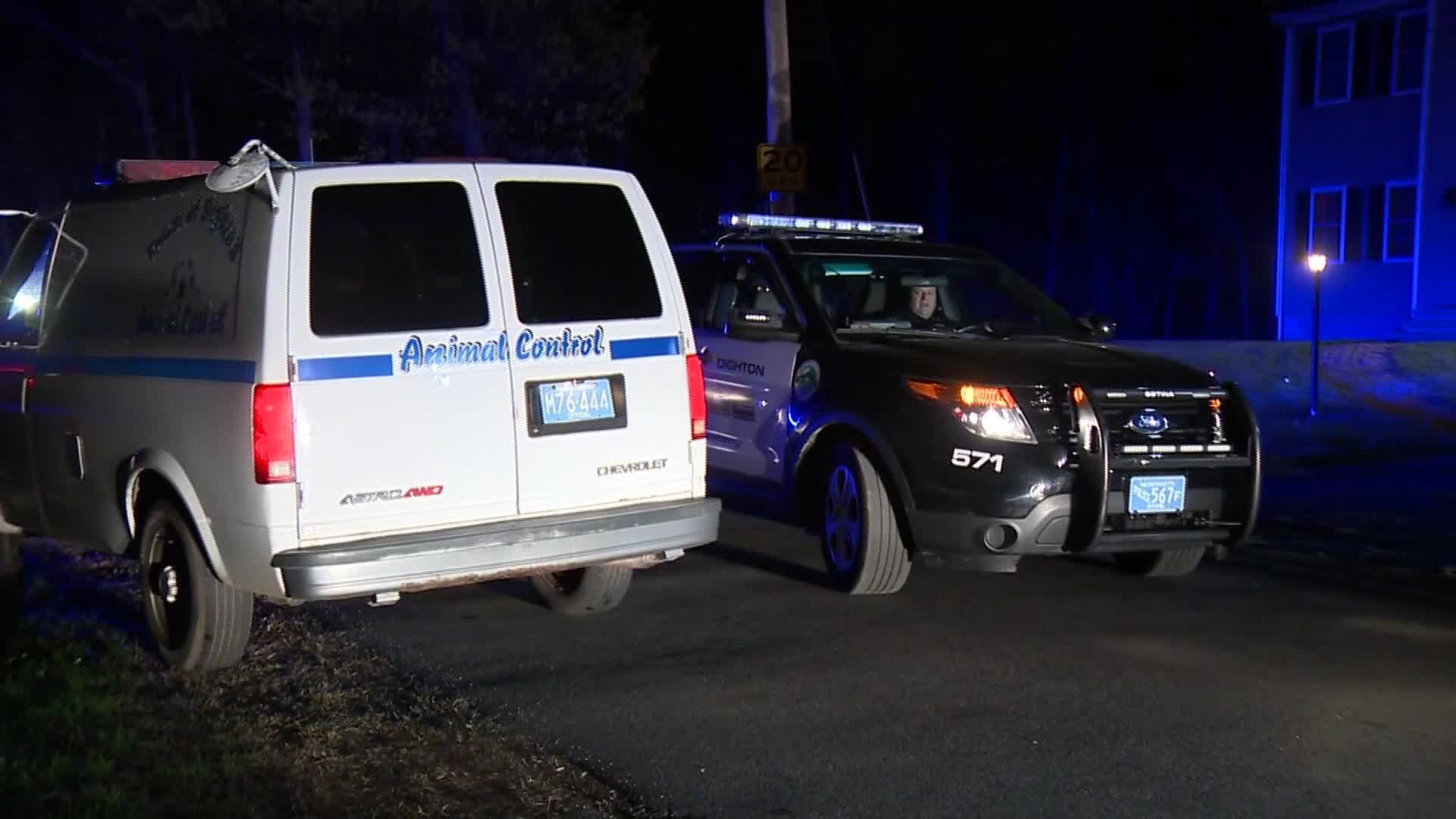 WCVB Dogs to be put down CNN Newsource