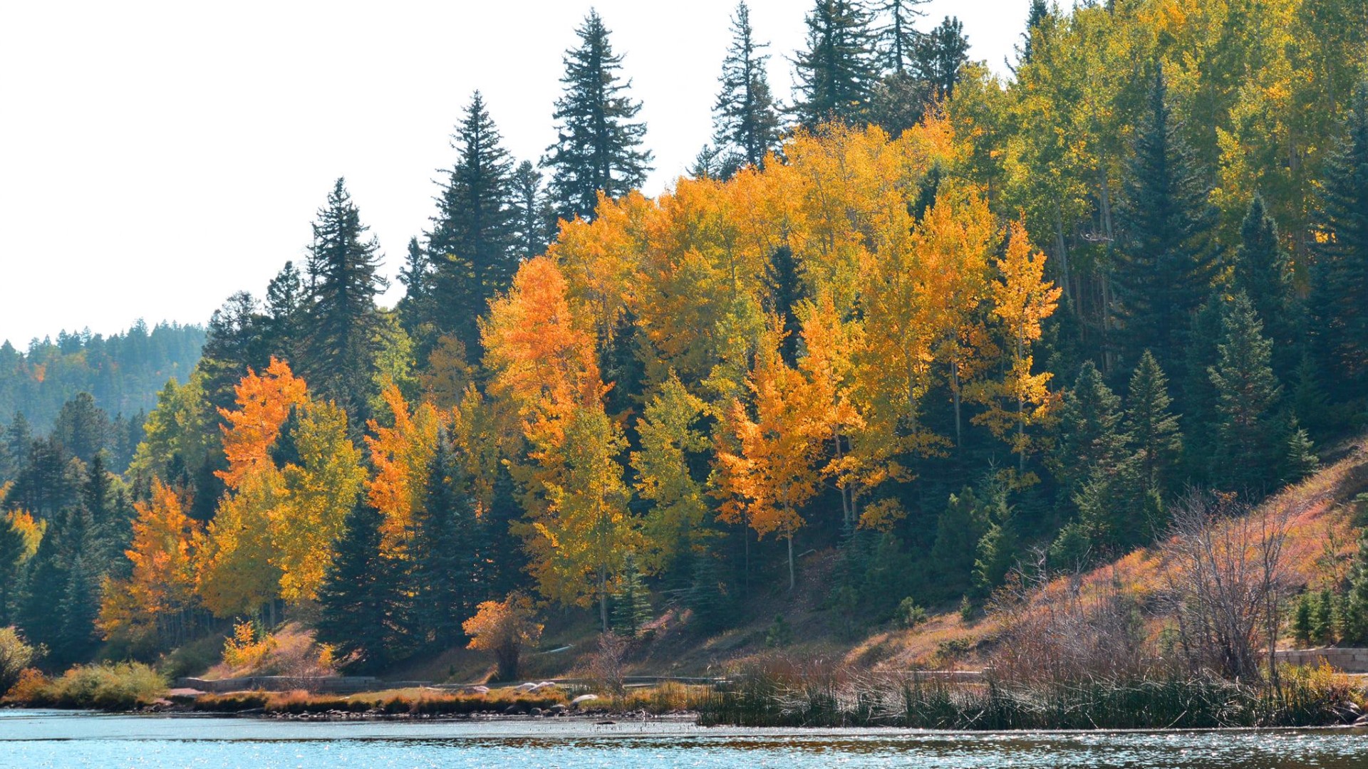 Lake Isabel fall foliage