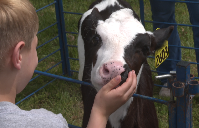 Screenshot 2026-04-14 180033.png