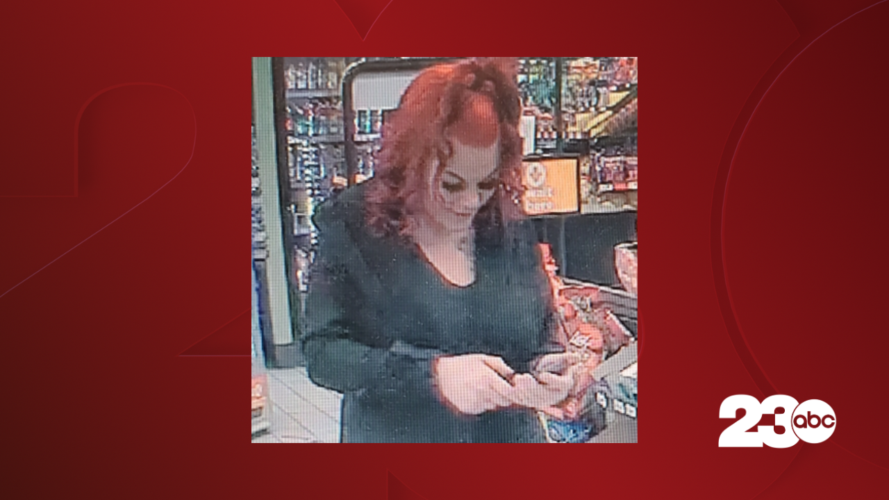 KCSO vehicle theft suspect