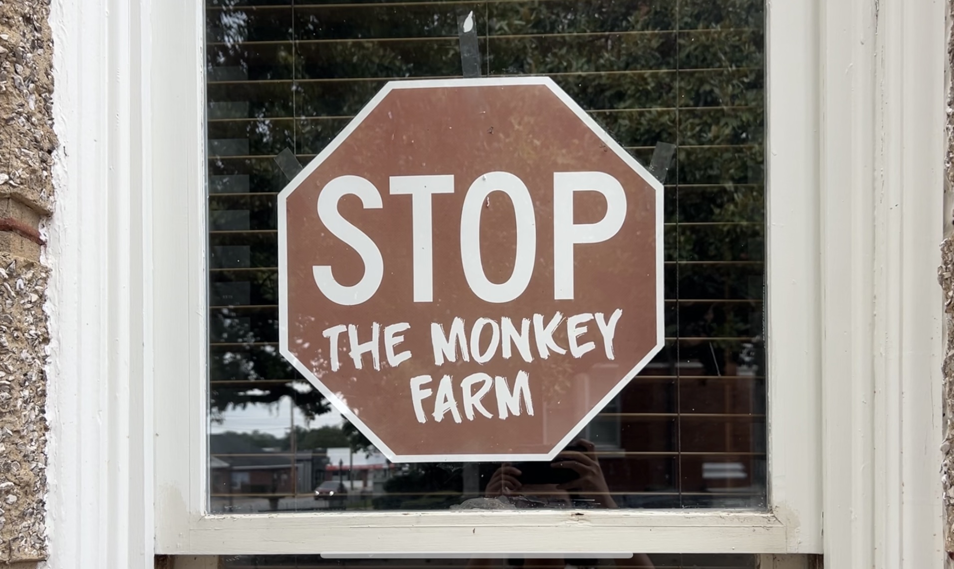 Bainbridge opposition to monkey farm now the focus of a documentary