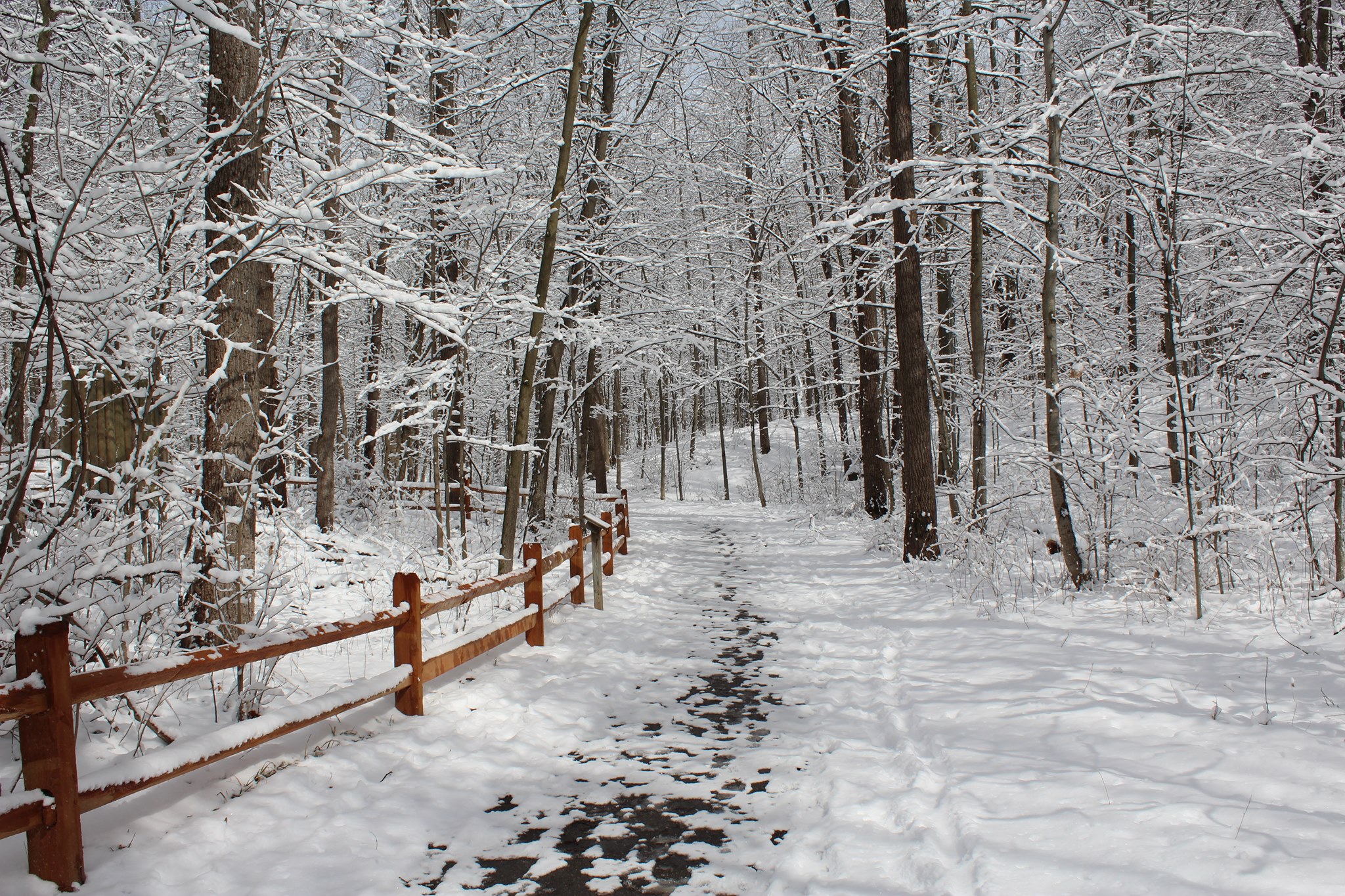 Harris Nature Center