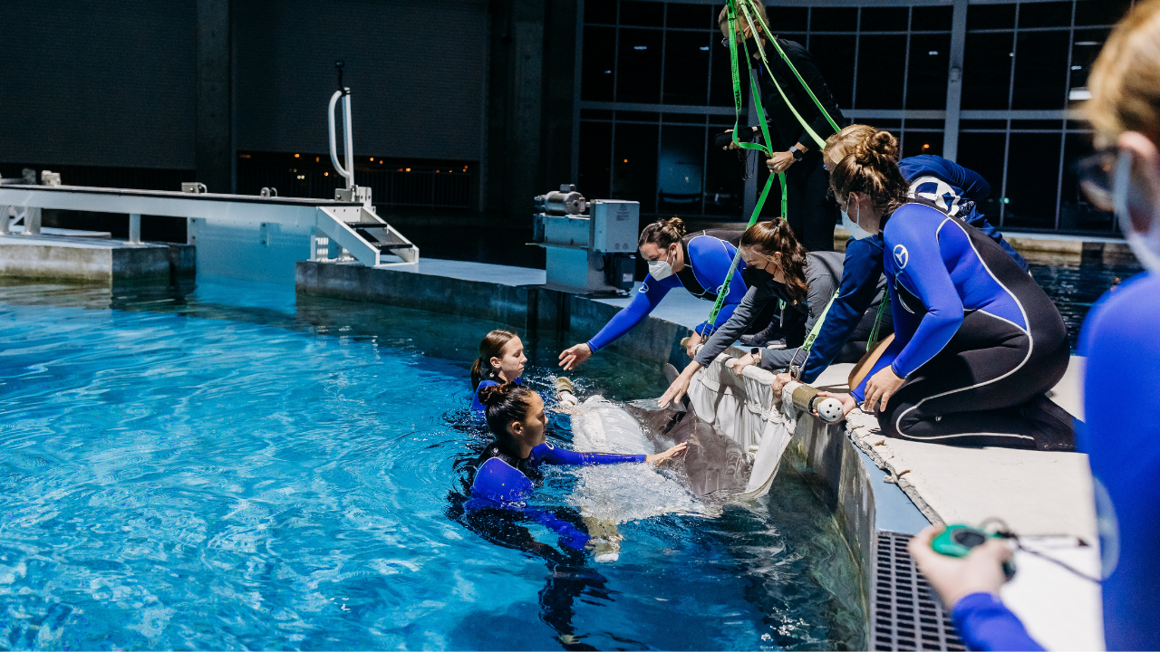 Apollo Arrival CMA3.png