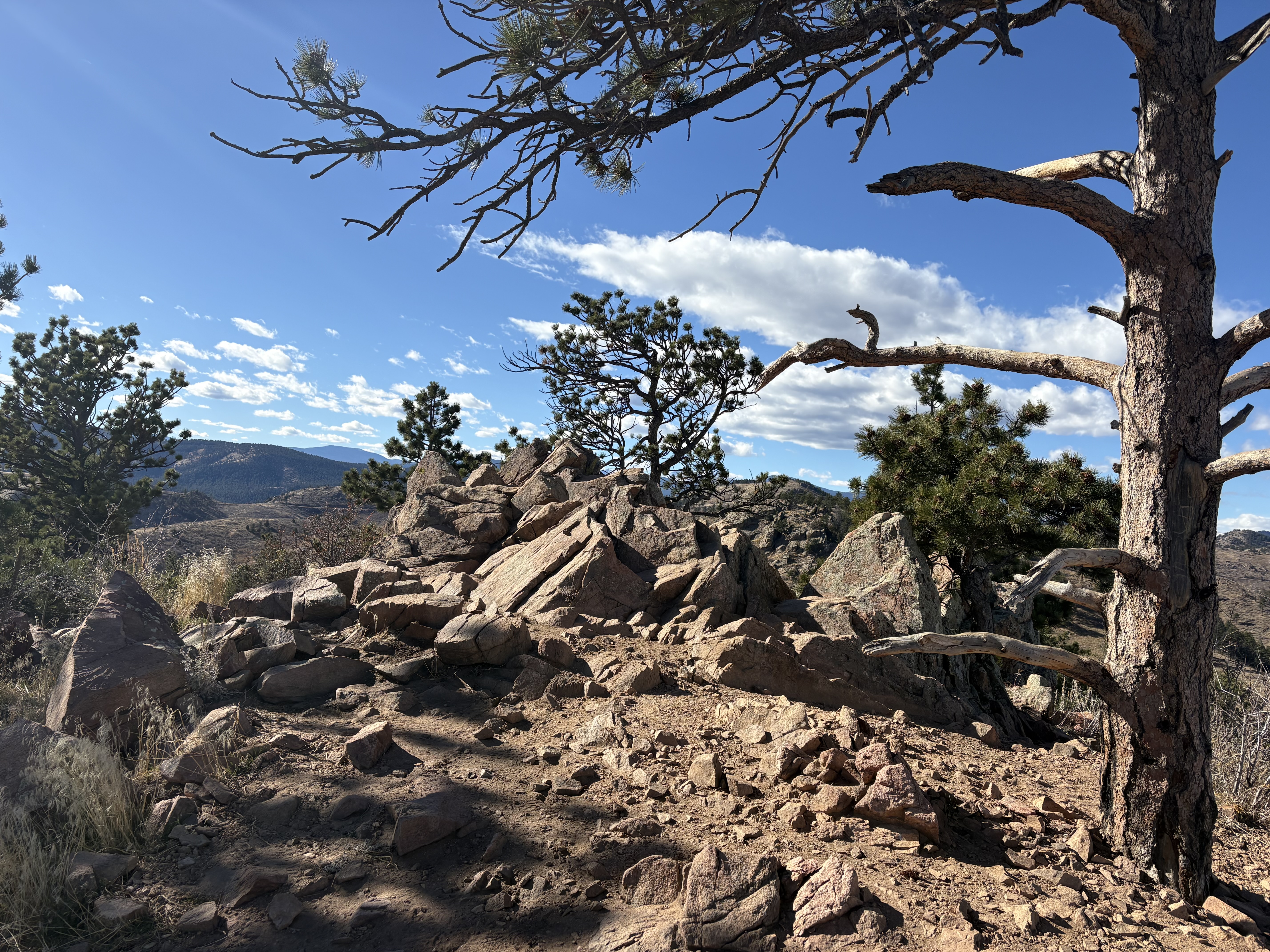 Mount Galbraith Park