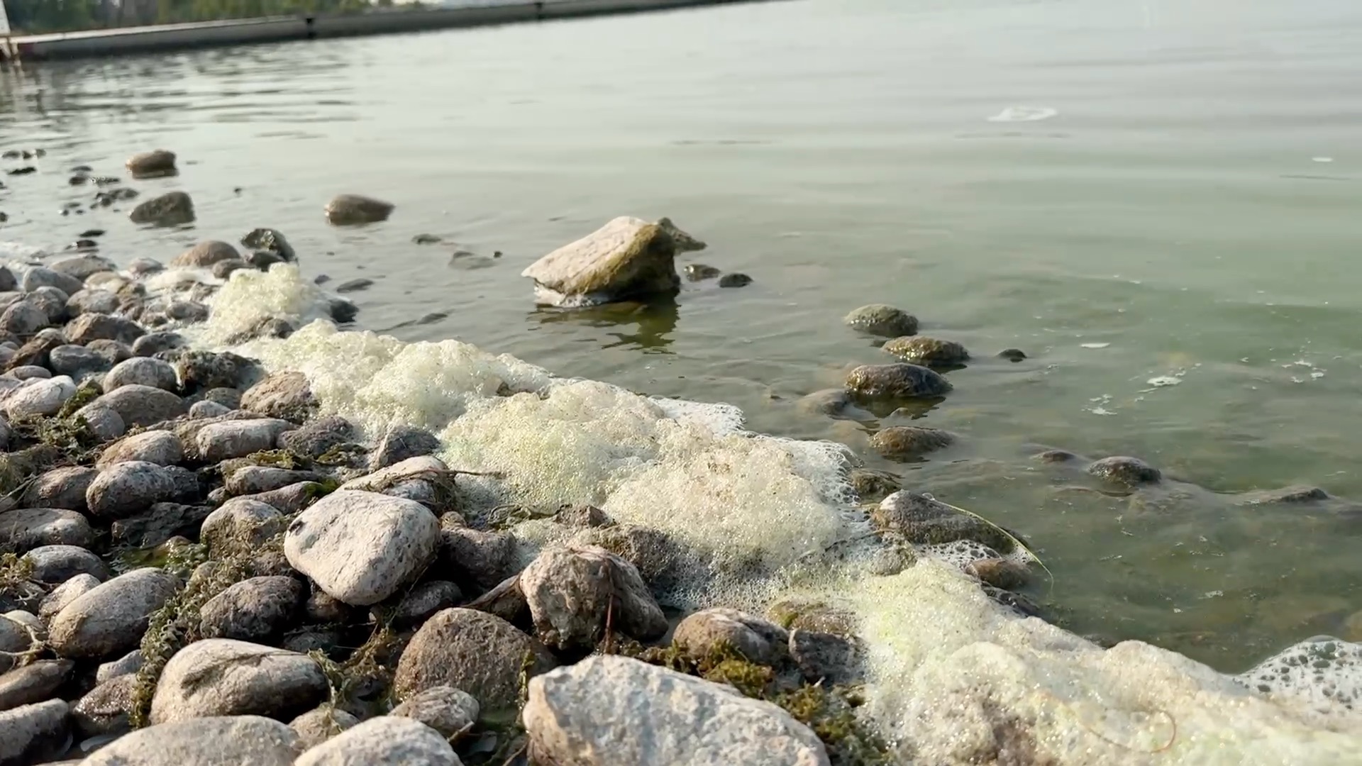 Lake Lowell 