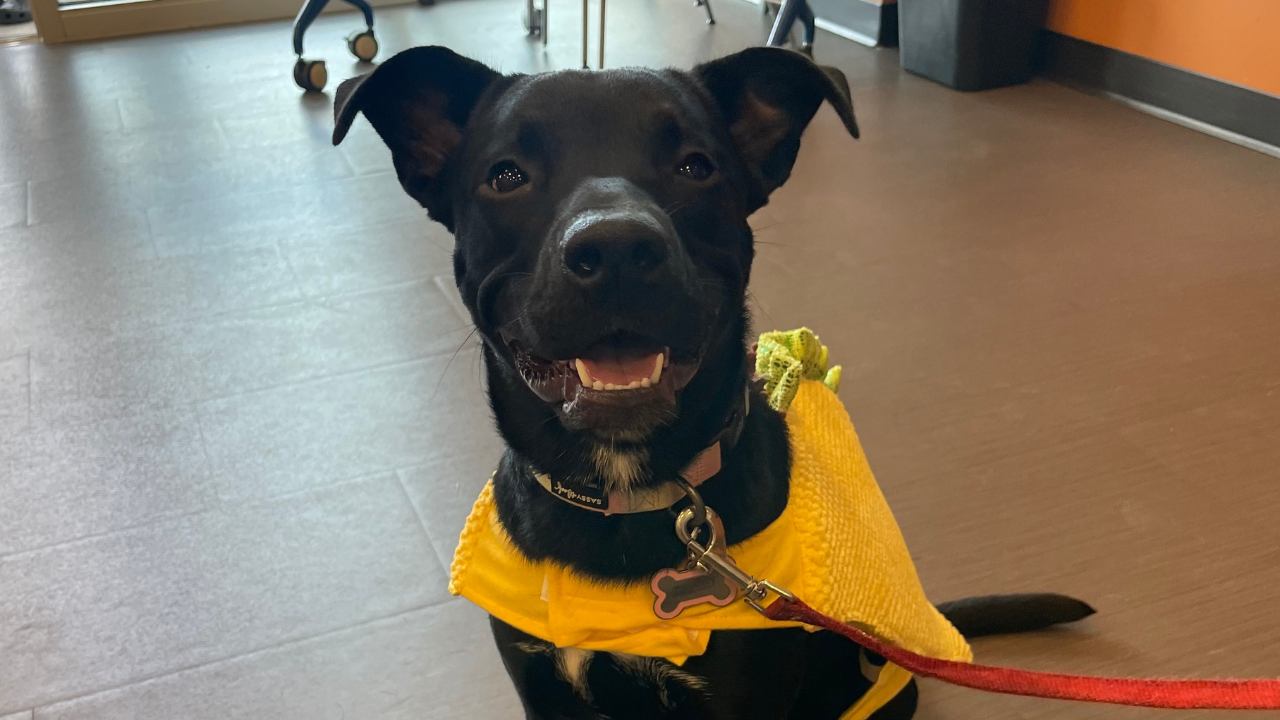 Kourtney Maxx and Me Rescue