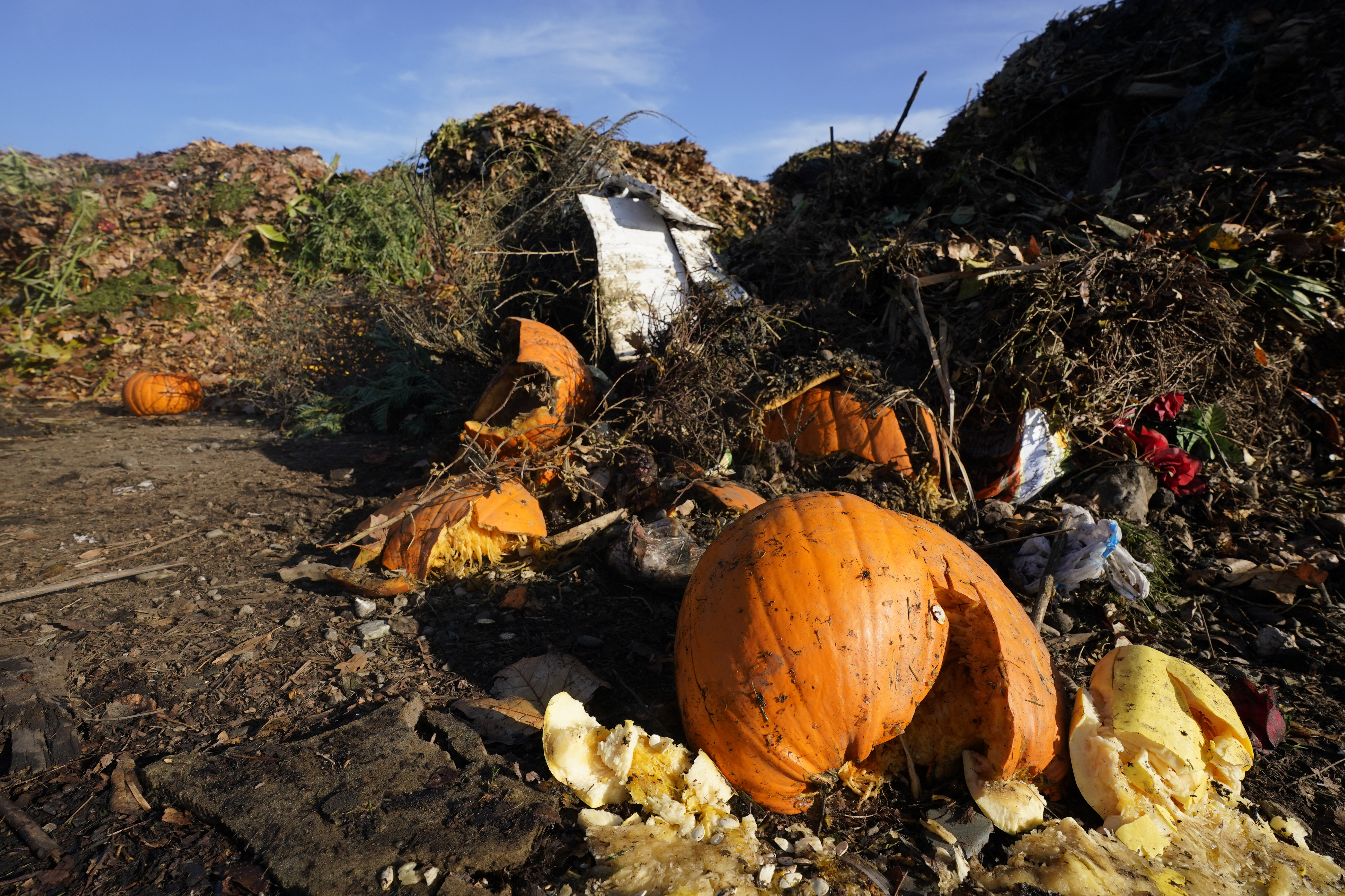 Food Waste Recycling