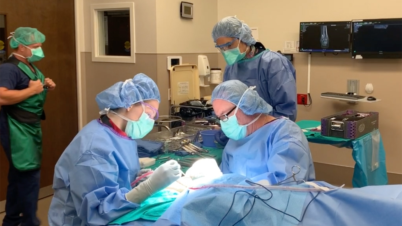 wptv-doctors1.jpg
