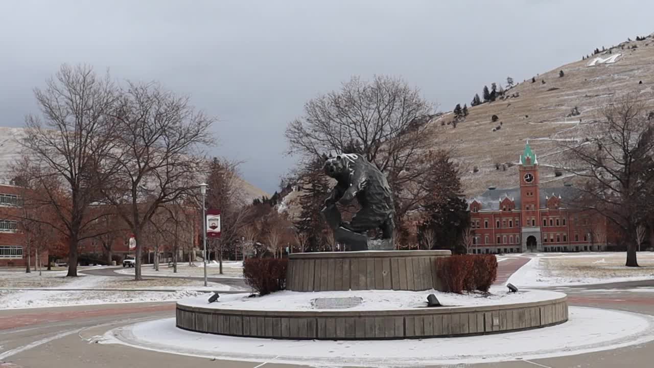University of Montana Bear Statute Winter