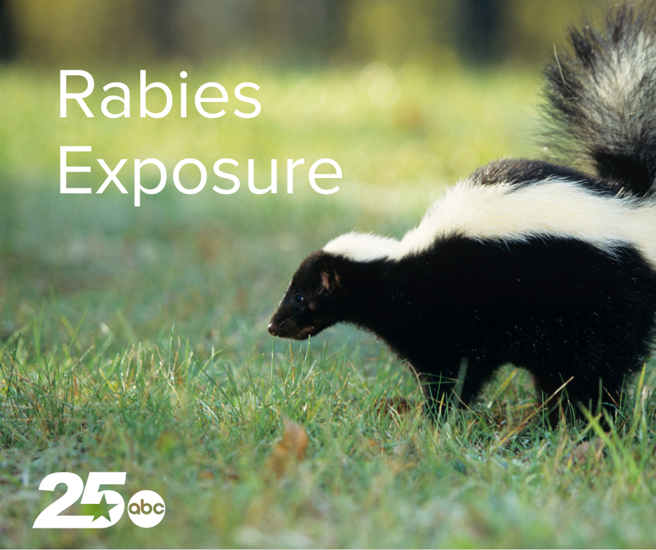 Rabies Exposure