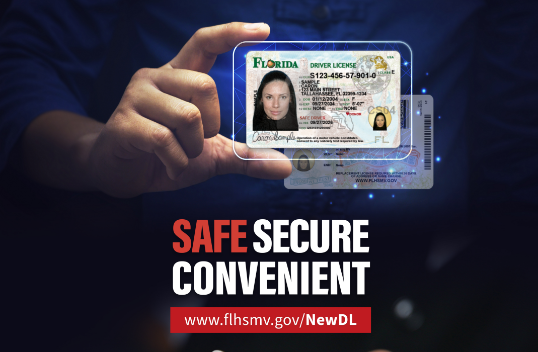 Newly designed Florida driver's license and identification cards to be issued