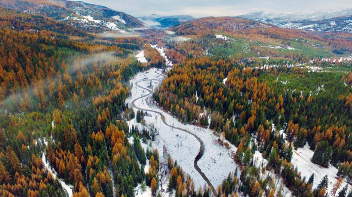 Ninemile Creek Restoration