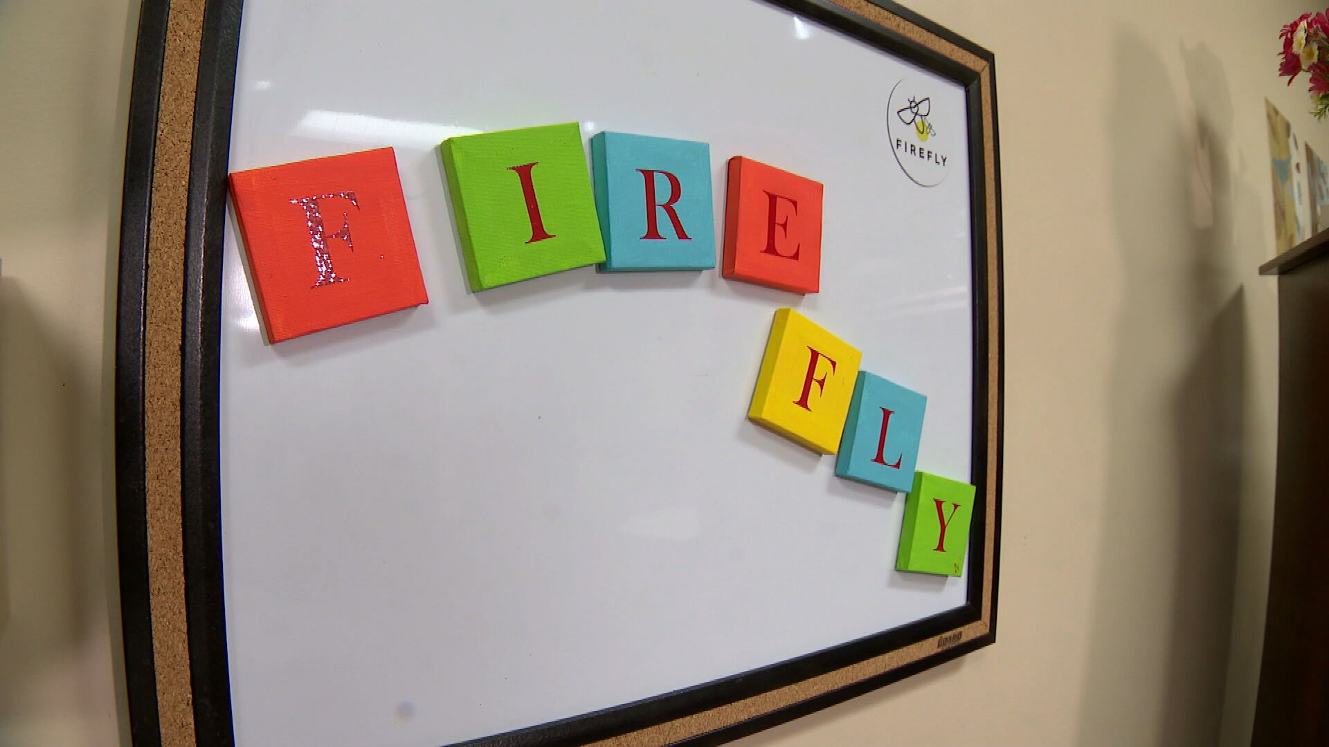 Firefly 