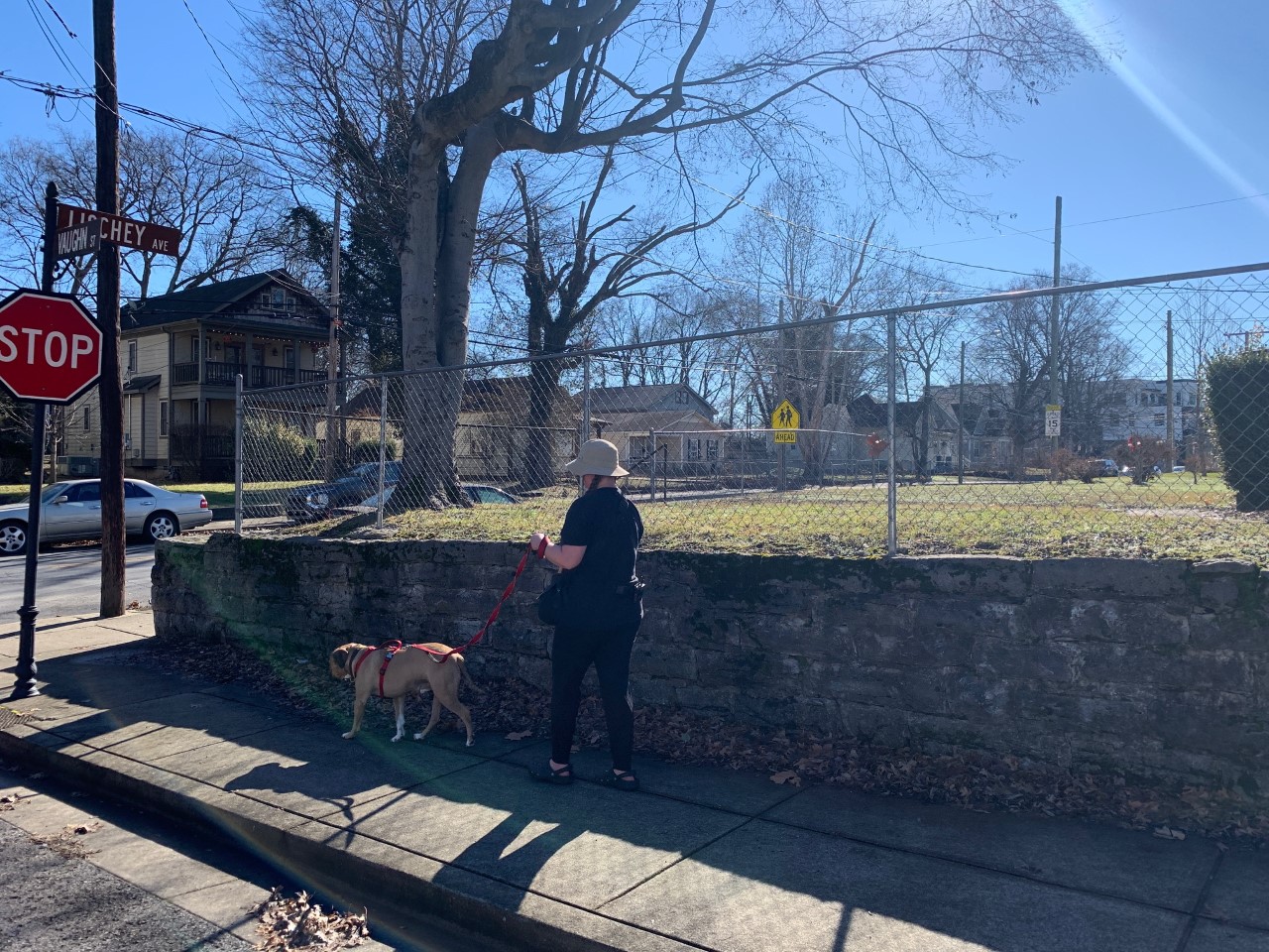 Ashley Job walks Bernard