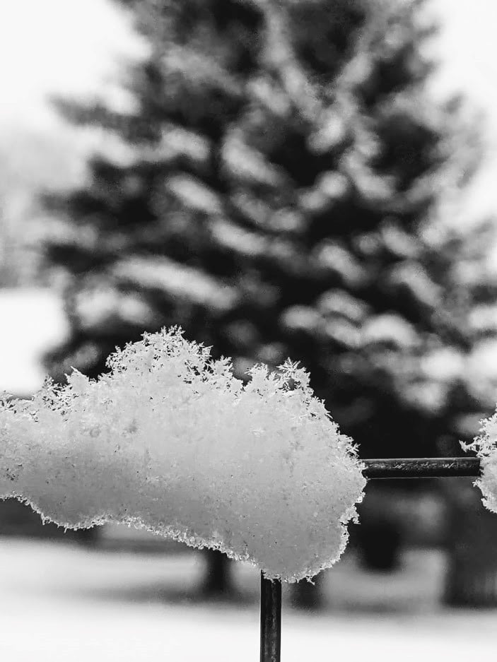 snow in new castle.jpeg